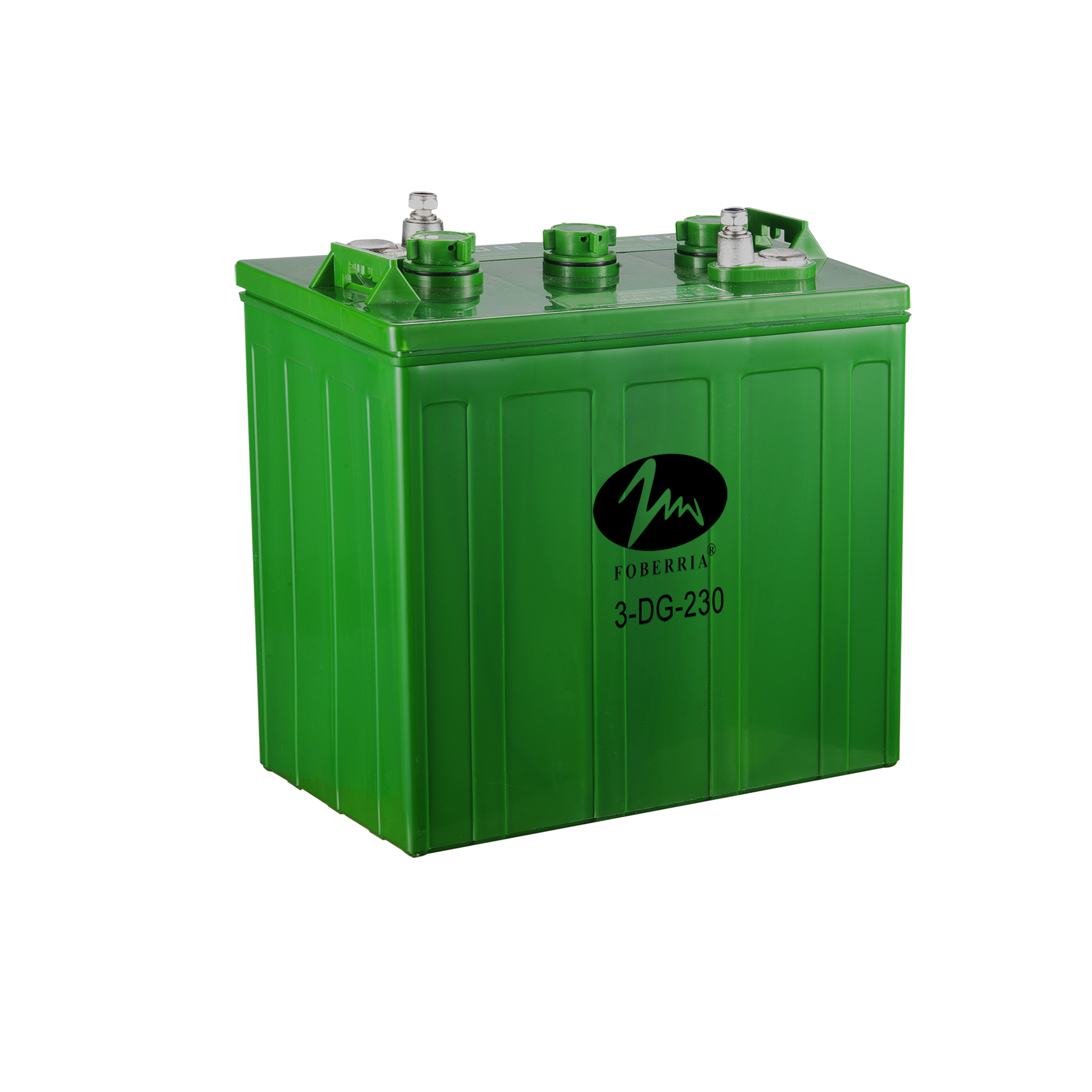 电动汽车使用什么类型的电池？