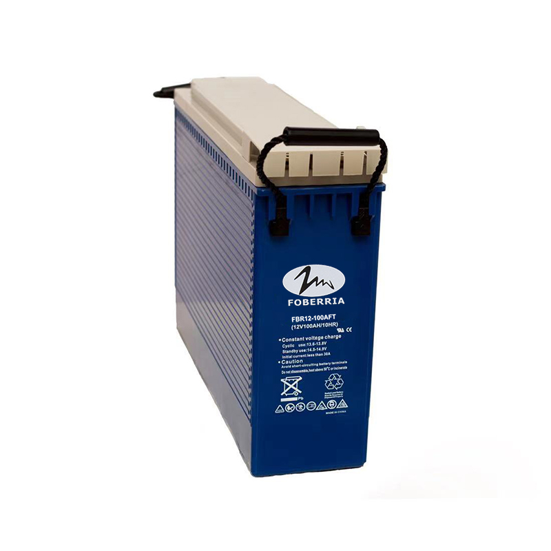 前置端子 FBR12-100FT 免维护电池